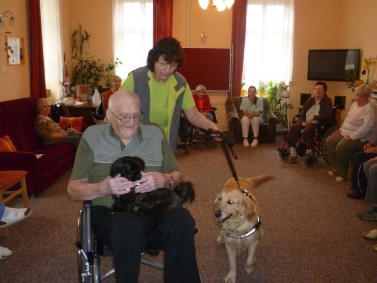 Seniory potěšili canisterapeutičtí psi