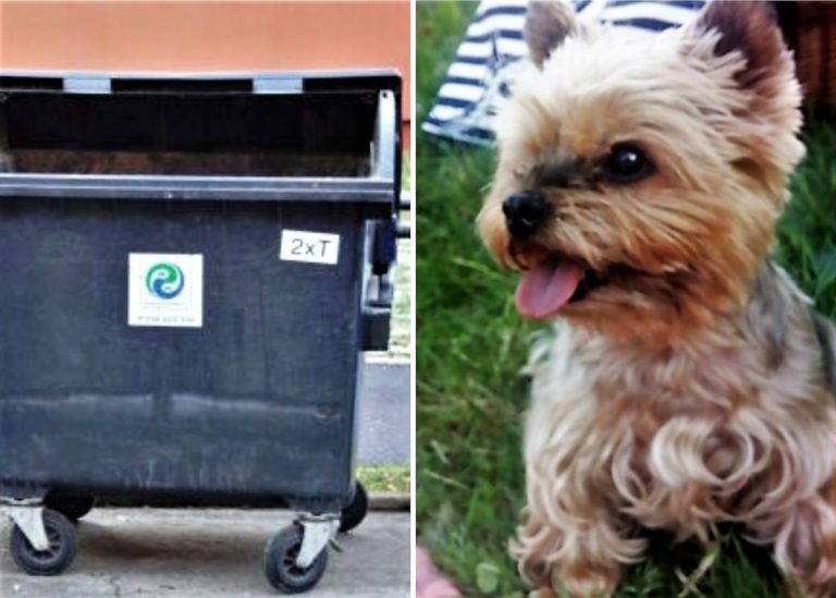 Poplatek za odpad a psy je nutné uhradit do konce srpna